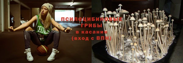 спайс Рославль