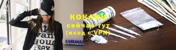 тгк Верея