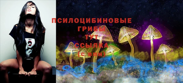 ECSTASY Краснотурьинск