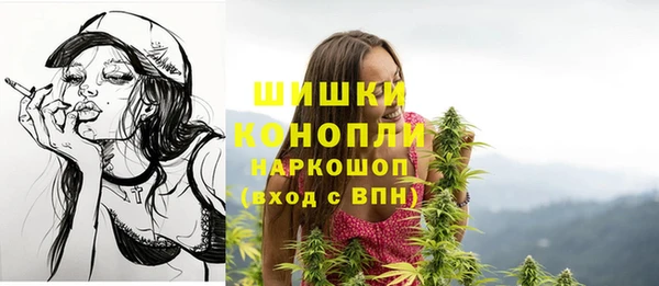 тгк Верея