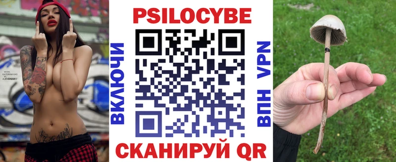 Галлюциногенные грибы мицелий  Новая Ладога 